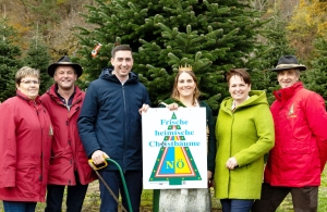 Maria Laacher Christbaum bringt weihnachtlichen Glanz ins EU-Parlament